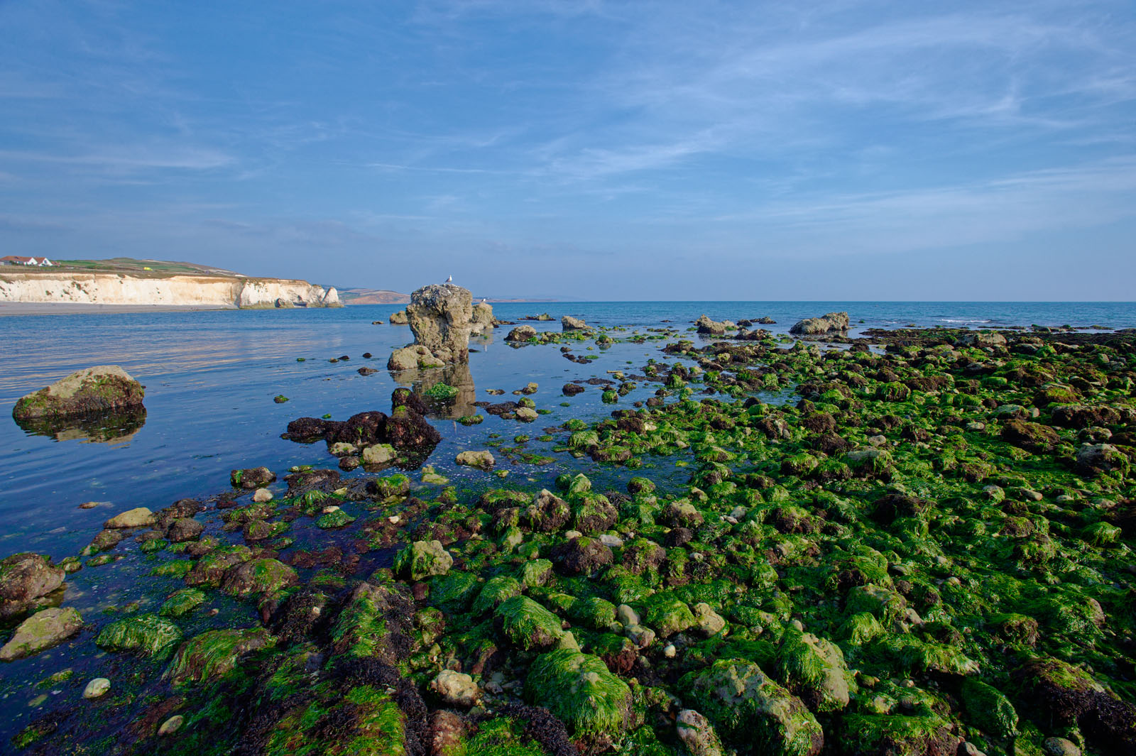 Isle of Wight